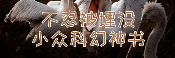 不忍心被埋没的小众神书